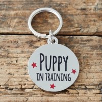 Dog Tag Puppy in Training